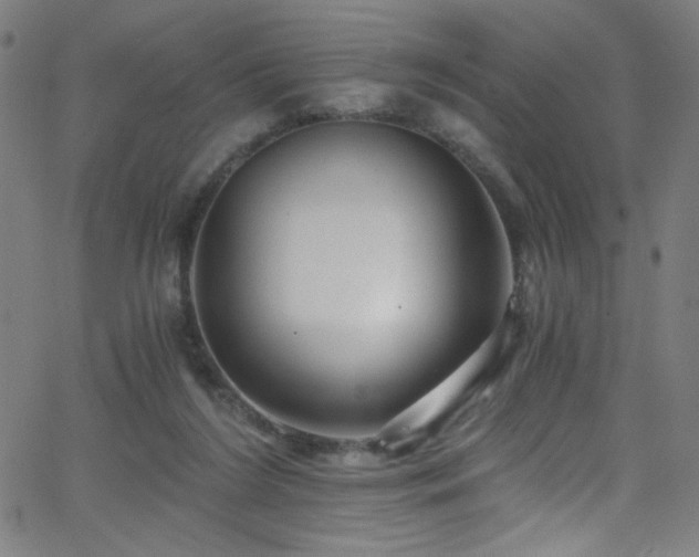 X0000068730212200604281147