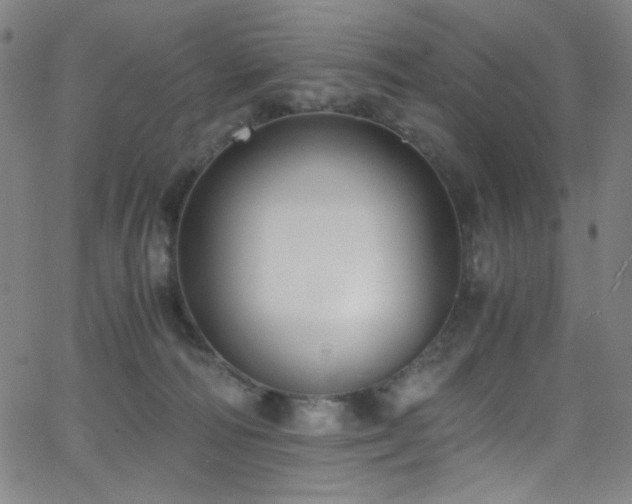 X0000068730226200604281147