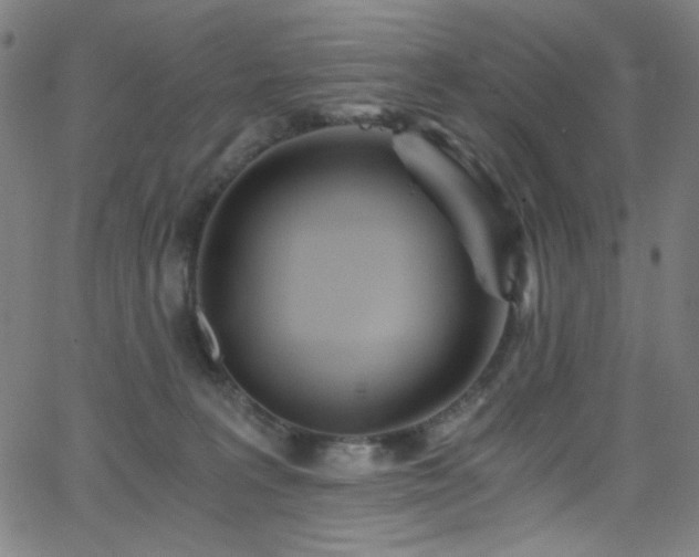 X0000068730227200604281147