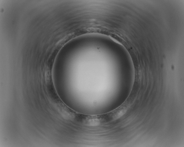 X0000068730228200604281147