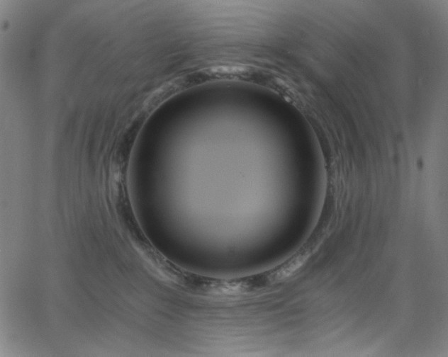 X0000068730235200604281146