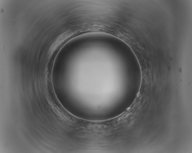 X0000068730242200604281146