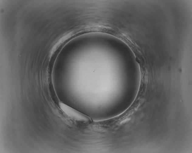 X0000068730244200604281146