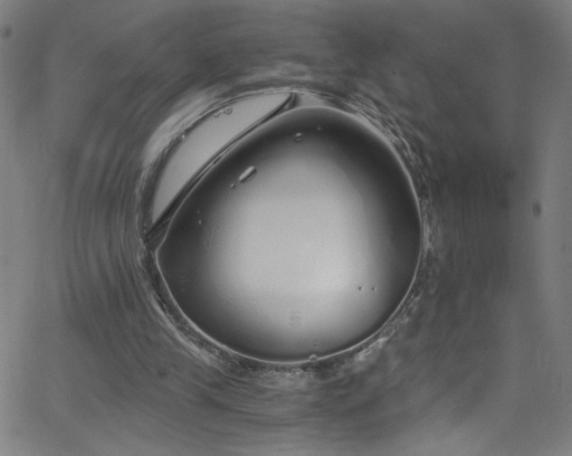 X0000068730245200604281146