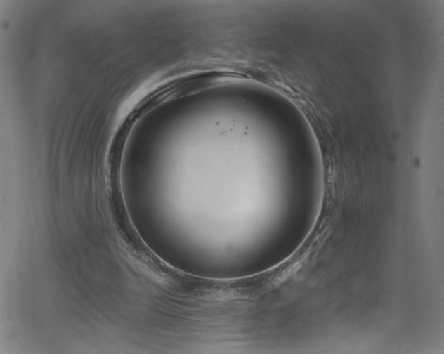 X0000068730246200604281146