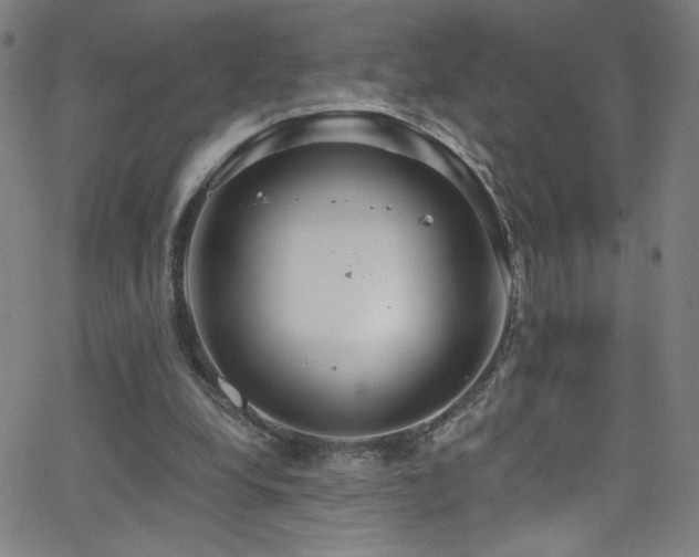 X0000068730248200604281146