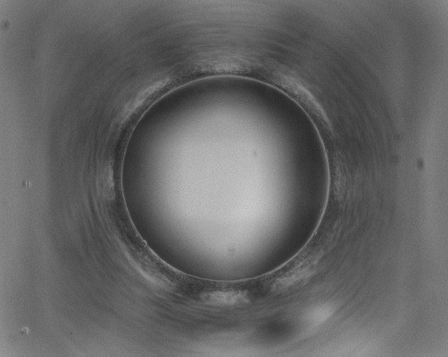 X0000068730251200604281146