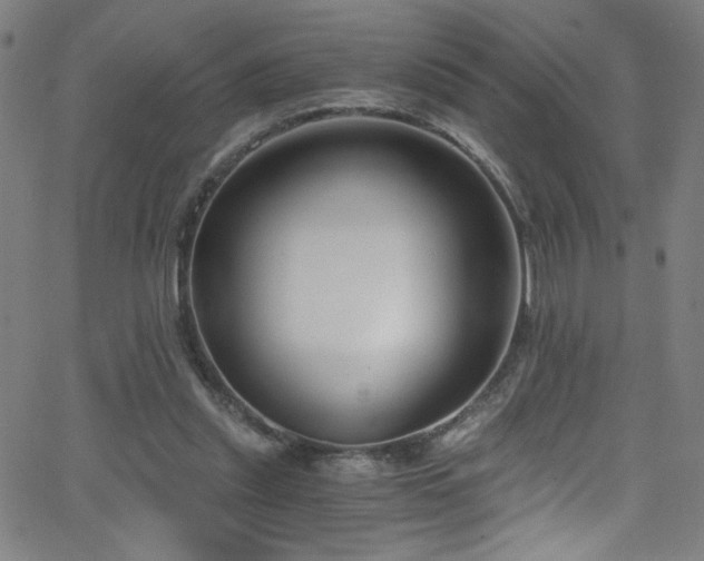 X0000068730253200604281146