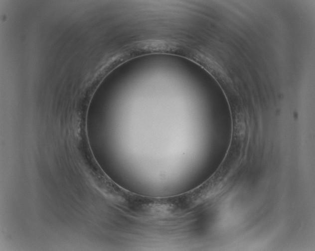 X0000068730255200604281146