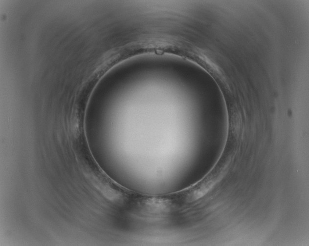 X0000068730261200604281146