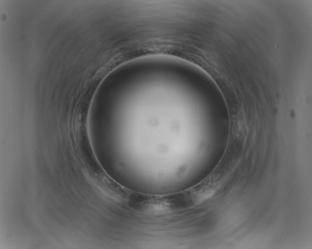 X0000068730263200604281146