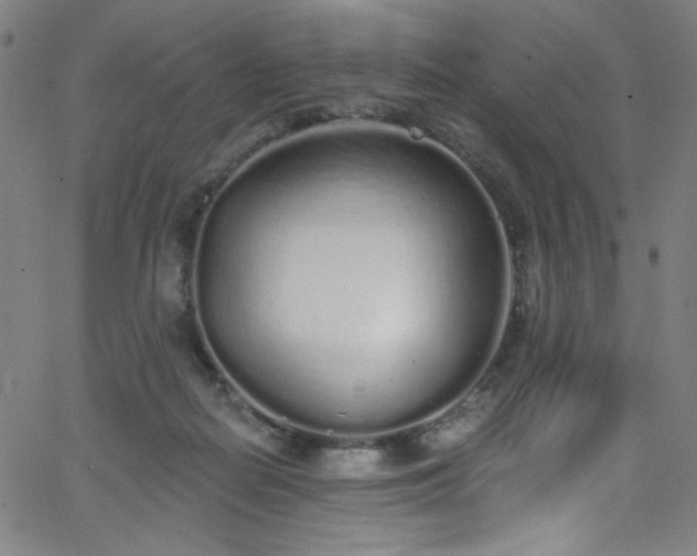 X0000068730266200604281146