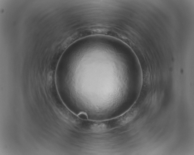 X0000068730271200604281146