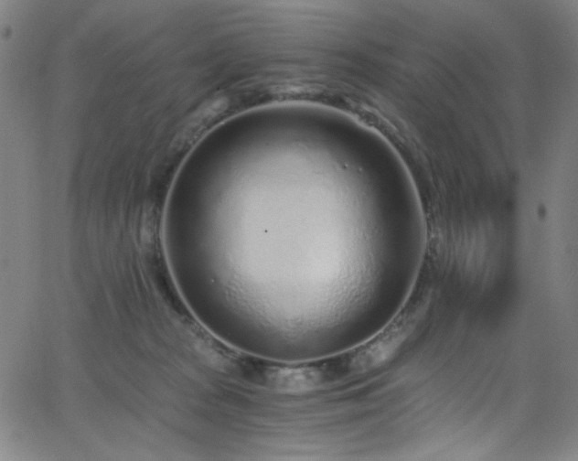 X0000068730277200604281146