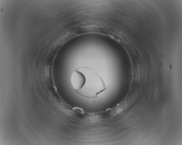X0000068730278200604281146