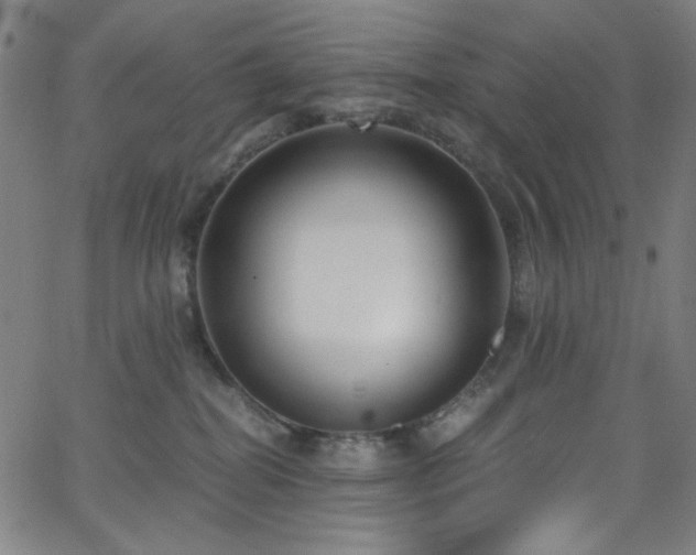 X0000068730282200604281146