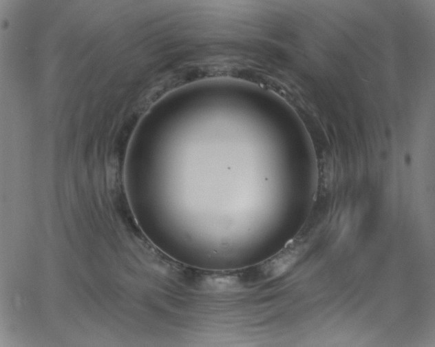 X0000068730283200604281146