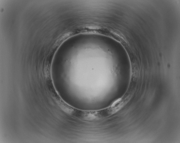 X0000068730285200604281146