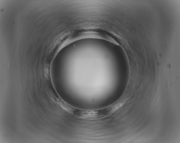 X0000068730288200604281146