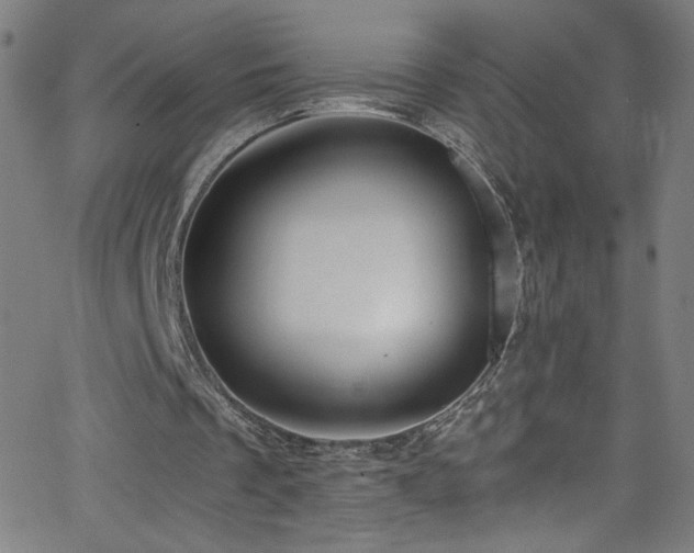 X0000068730289200604281146