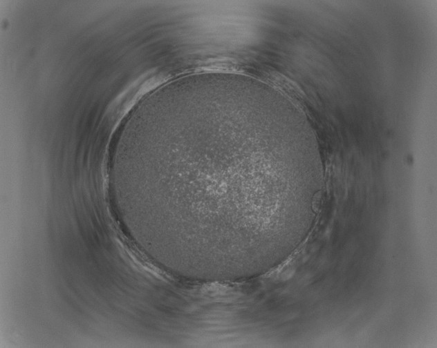 X0000068730290200604281146