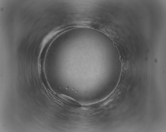 X0000068730294200604281145
