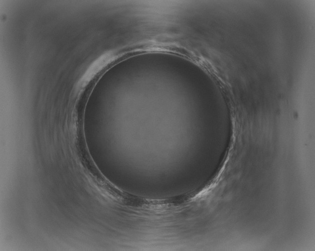 X0000068730295200604281145