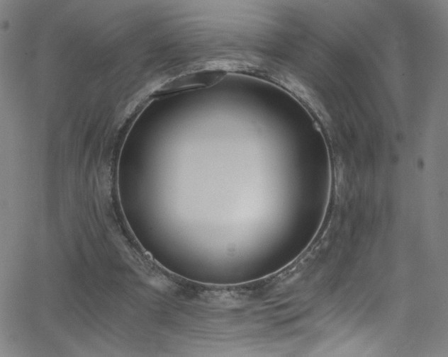 X0000068730297200604281145