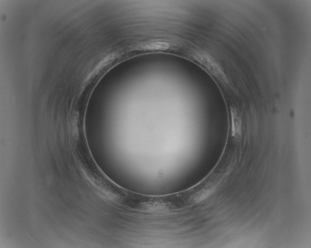 X0000068730300200604281145