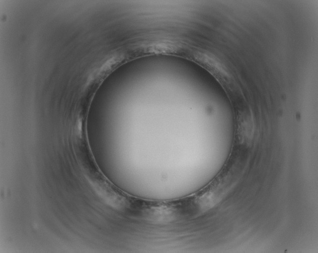 X0000068730310200604281145