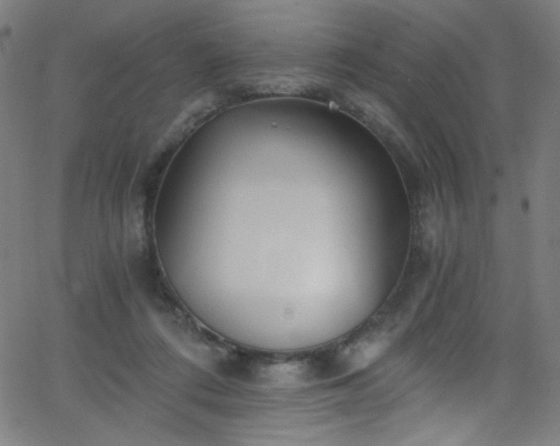 X0000068730312200604281145