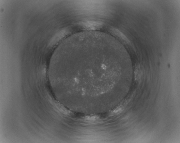 X0000068730314200604281145
