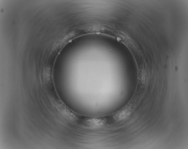 X0000068730326200604281145