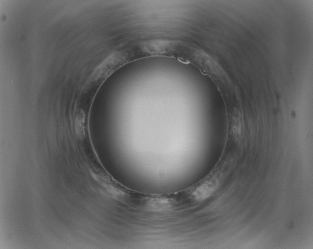 X0000068730332200604281145