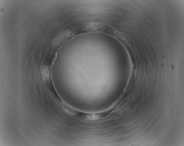 X0000068730335200604281145