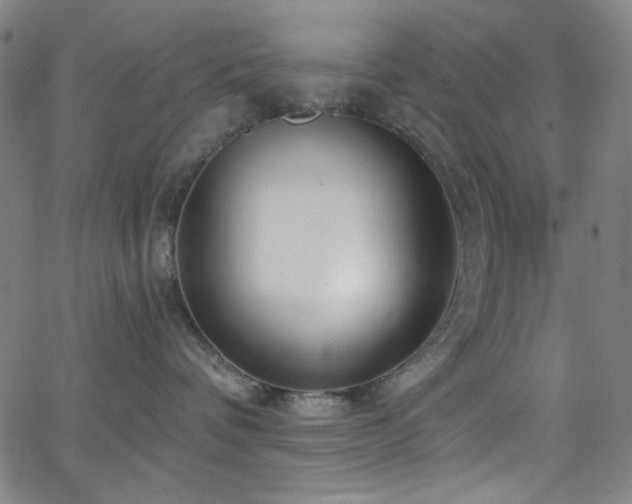 X0000068730336200604281145
