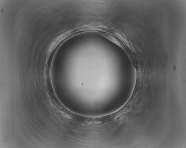 X0000068730340200604281144