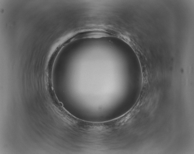 X0000068730342200604281144