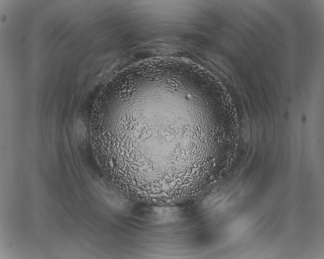 X0000068730371200604281145