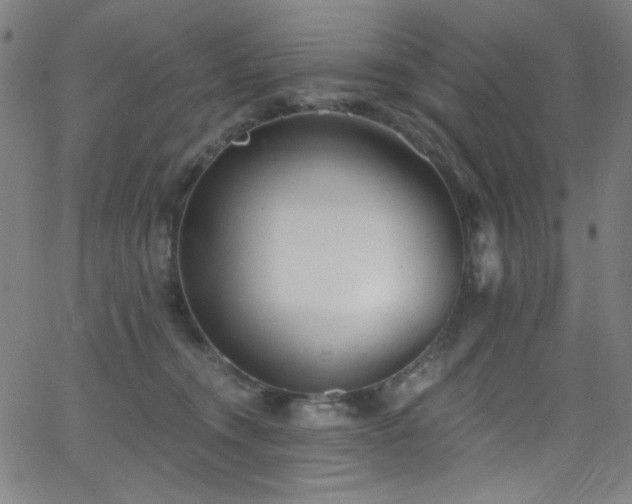 X0000068730372200604281145