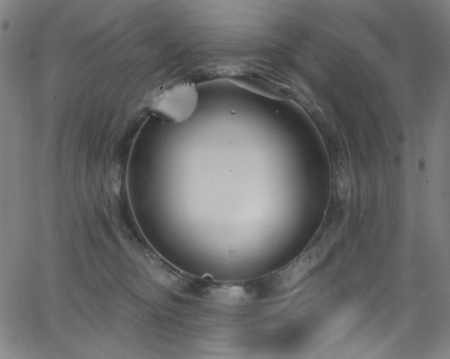 X0000068730374200604281145