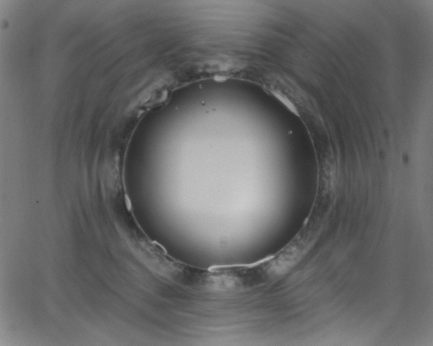 X0000068730376200604281145