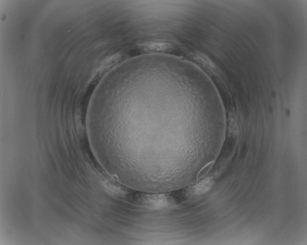 X0000068730377200604281145