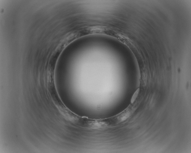 X0000068730379200604281145