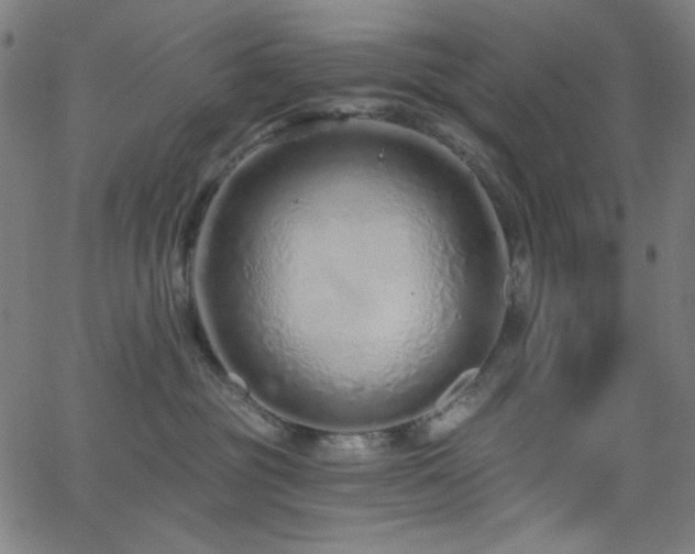 X0000068730381200604281145