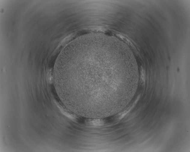 X0000068730383200604281145