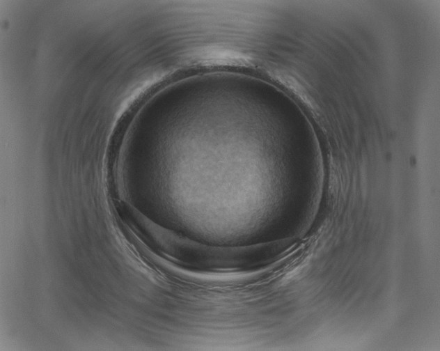 X0000068730391200604281144