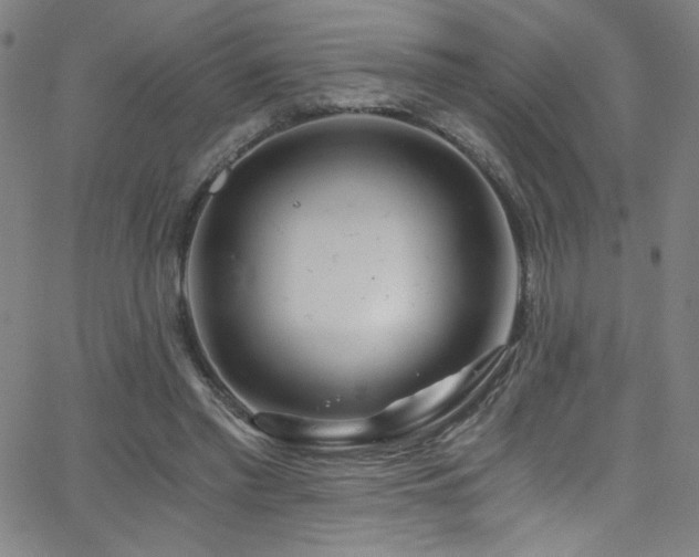X0000068730397200604281144