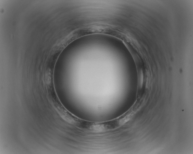 X0000068730413200604281144