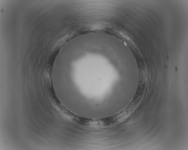 X0000068730415200604281143